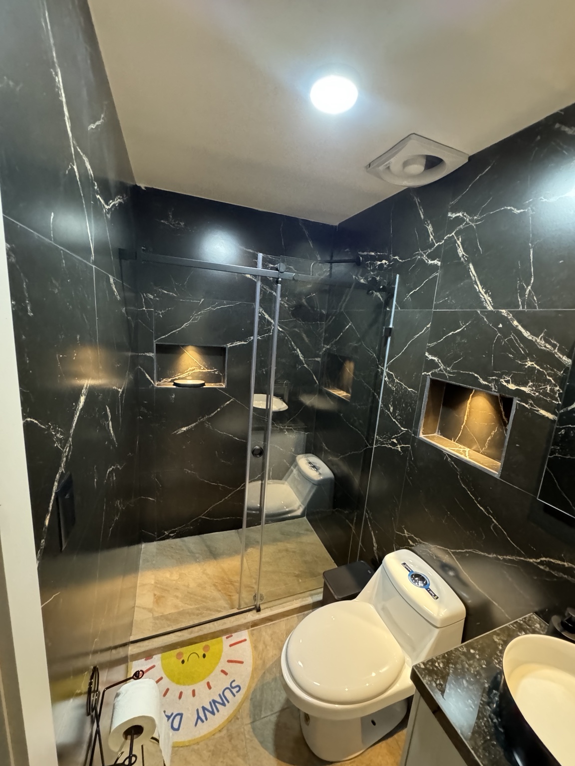Glass-enclosed shower and toilet
